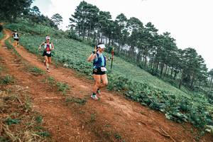 BIB: 
                            <button type="button" onclick="openModal(25488649)" class="btn btn-primary btn-sm float-right btn-popup" data-toggle="modal" data-target=".modal-high-quality">
                        <i class="fas fa-shopping-cart"></i> Add to Cart
                    </button>
                                            <button type="button" onclick="isThisMe(25488649, true)" class="btn btn-success btn-sm float-right btn-popup btn-isme hidden" data-toggle="tooltip" data-placement="bottom" title="นี่คือรูปของคุณใช่ไหม คลิกที่นี่เพื่อเอาเข้าอัลบั้ม">
                        <i class="fas fa-plus"></i> Add to album
                    </button>
                    <button type="button" onclick="isThisMe(25488649, false)" class="btn btn-warning btn-sm float-right btn-popup btn-isnotme hidden">
                        <i class="fas fa-ban"></i> Remove from album
                    </button>