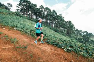 BIB: 
                            <button type="button" onclick="openModal(25491287)" class="btn btn-primary btn-sm float-right btn-popup" data-toggle="modal" data-target=".modal-high-quality">
                        <i class="fas fa-shopping-cart"></i> Add to Cart
                    </button>
                                            <button type="button" onclick="isThisMe(25491287, true)" class="btn btn-success btn-sm float-right btn-popup btn-isme hidden" data-toggle="tooltip" data-placement="bottom" title="นี่คือรูปของคุณใช่ไหม คลิกที่นี่เพื่อเอาเข้าอัลบั้ม">
                        <i class="fas fa-plus"></i> Add to album
                    </button>
                    <button type="button" onclick="isThisMe(25491287, false)" class="btn btn-warning btn-sm float-right btn-popup btn-isnotme hidden">
                        <i class="fas fa-ban"></i> Remove from album
                    </button>