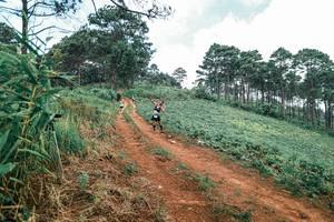 BIB: 
                            <button type="button" onclick="openModal(25482854)" class="btn btn-primary btn-sm float-right btn-popup" data-toggle="modal" data-target=".modal-high-quality">
                        <i class="fas fa-shopping-cart"></i> Add to Cart
                    </button>
                                            <button type="button" onclick="isThisMe(25482854, true)" class="btn btn-success btn-sm float-right btn-popup btn-isme hidden" data-toggle="tooltip" data-placement="bottom" title="นี่คือรูปของคุณใช่ไหม คลิกที่นี่เพื่อเอาเข้าอัลบั้ม">
                        <i class="fas fa-plus"></i> Add to album
                    </button>
                    <button type="button" onclick="isThisMe(25482854, false)" class="btn btn-warning btn-sm float-right btn-popup btn-isnotme hidden">
                        <i class="fas fa-ban"></i> Remove from album
                    </button>