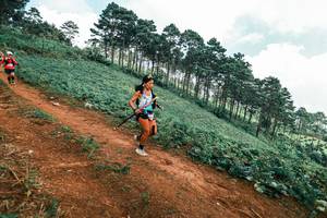 BIB: 
                            <button type="button" onclick="openModal(25492653)" class="btn btn-primary btn-sm float-right btn-popup" data-toggle="modal" data-target=".modal-high-quality">
                        <i class="fas fa-shopping-cart"></i> Add to Cart
                    </button>
                                            <button type="button" onclick="isThisMe(25492653, true)" class="btn btn-success btn-sm float-right btn-popup btn-isme hidden" data-toggle="tooltip" data-placement="bottom" title="นี่คือรูปของคุณใช่ไหม คลิกที่นี่เพื่อเอาเข้าอัลบั้ม">
                        <i class="fas fa-plus"></i> Add to album
                    </button>
                    <button type="button" onclick="isThisMe(25492653, false)" class="btn btn-warning btn-sm float-right btn-popup btn-isnotme hidden">
                        <i class="fas fa-ban"></i> Remove from album
                    </button>