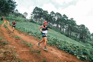 BIB: 
                            <button type="button" onclick="openModal(25483120)" class="btn btn-primary btn-sm float-right btn-popup" data-toggle="modal" data-target=".modal-high-quality">
                        <i class="fas fa-shopping-cart"></i> Add to Cart
                    </button>
                                            <button type="button" onclick="isThisMe(25483120, true)" class="btn btn-success btn-sm float-right btn-popup btn-isme hidden" data-toggle="tooltip" data-placement="bottom" title="นี่คือรูปของคุณใช่ไหม คลิกที่นี่เพื่อเอาเข้าอัลบั้ม">
                        <i class="fas fa-plus"></i> Add to album
                    </button>
                    <button type="button" onclick="isThisMe(25483120, false)" class="btn btn-warning btn-sm float-right btn-popup btn-isnotme hidden">
                        <i class="fas fa-ban"></i> Remove from album
                    </button>