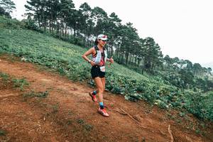 BIB: 
                            <button type="button" onclick="openModal(25488759)" class="btn btn-primary btn-sm float-right btn-popup" data-toggle="modal" data-target=".modal-high-quality">
                        <i class="fas fa-shopping-cart"></i> Add to Cart
                    </button>
                                            <button type="button" onclick="isThisMe(25488759, true)" class="btn btn-success btn-sm float-right btn-popup btn-isme hidden" data-toggle="tooltip" data-placement="bottom" title="นี่คือรูปของคุณใช่ไหม คลิกที่นี่เพื่อเอาเข้าอัลบั้ม">
                        <i class="fas fa-plus"></i> Add to album
                    </button>
                    <button type="button" onclick="isThisMe(25488759, false)" class="btn btn-warning btn-sm float-right btn-popup btn-isnotme hidden">
                        <i class="fas fa-ban"></i> Remove from album
                    </button>