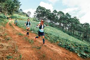 BIB: 
                            <button type="button" onclick="openModal(25491520)" class="btn btn-primary btn-sm float-right btn-popup" data-toggle="modal" data-target=".modal-high-quality">
                        <i class="fas fa-shopping-cart"></i> Add to Cart
                    </button>
                                            <button type="button" onclick="isThisMe(25491520, true)" class="btn btn-success btn-sm float-right btn-popup btn-isme hidden" data-toggle="tooltip" data-placement="bottom" title="นี่คือรูปของคุณใช่ไหม คลิกที่นี่เพื่อเอาเข้าอัลบั้ม">
                        <i class="fas fa-plus"></i> Add to album
                    </button>
                    <button type="button" onclick="isThisMe(25491520, false)" class="btn btn-warning btn-sm float-right btn-popup btn-isnotme hidden">
                        <i class="fas fa-ban"></i> Remove from album
                    </button>