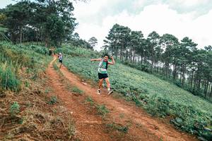 BIB: 
                            <button type="button" onclick="openModal(25482925)" class="btn btn-primary btn-sm float-right btn-popup" data-toggle="modal" data-target=".modal-high-quality">
                        <i class="fas fa-shopping-cart"></i> Add to Cart
                    </button>
                                            <button type="button" onclick="isThisMe(25482925, true)" class="btn btn-success btn-sm float-right btn-popup btn-isme hidden" data-toggle="tooltip" data-placement="bottom" title="นี่คือรูปของคุณใช่ไหม คลิกที่นี่เพื่อเอาเข้าอัลบั้ม">
                        <i class="fas fa-plus"></i> Add to album
                    </button>
                    <button type="button" onclick="isThisMe(25482925, false)" class="btn btn-warning btn-sm float-right btn-popup btn-isnotme hidden">
                        <i class="fas fa-ban"></i> Remove from album
                    </button>