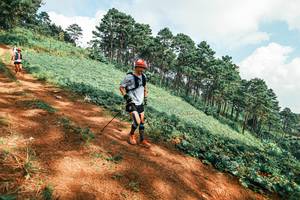 BIB: 
                            <button type="button" onclick="openModal(25492330)" class="btn btn-primary btn-sm float-right btn-popup" data-toggle="modal" data-target=".modal-high-quality">
                        <i class="fas fa-shopping-cart"></i> Add to Cart
                    </button>
                                            <button type="button" onclick="isThisMe(25492330, true)" class="btn btn-success btn-sm float-right btn-popup btn-isme hidden" data-toggle="tooltip" data-placement="bottom" title="นี่คือรูปของคุณใช่ไหม คลิกที่นี่เพื่อเอาเข้าอัลบั้ม">
                        <i class="fas fa-plus"></i> Add to album
                    </button>
                    <button type="button" onclick="isThisMe(25492330, false)" class="btn btn-warning btn-sm float-right btn-popup btn-isnotme hidden">
                        <i class="fas fa-ban"></i> Remove from album
                    </button>