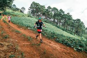 BIB: 
                            <button type="button" onclick="openModal(25490011)" class="btn btn-primary btn-sm float-right btn-popup" data-toggle="modal" data-target=".modal-high-quality">
                        <i class="fas fa-shopping-cart"></i> Add to Cart
                    </button>
                                            <button type="button" onclick="isThisMe(25490011, true)" class="btn btn-success btn-sm float-right btn-popup btn-isme hidden" data-toggle="tooltip" data-placement="bottom" title="นี่คือรูปของคุณใช่ไหม คลิกที่นี่เพื่อเอาเข้าอัลบั้ม">
                        <i class="fas fa-plus"></i> Add to album
                    </button>
                    <button type="button" onclick="isThisMe(25490011, false)" class="btn btn-warning btn-sm float-right btn-popup btn-isnotme hidden">
                        <i class="fas fa-ban"></i> Remove from album
                    </button>