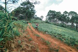 BIB: 
                            <button type="button" onclick="openModal(25482848)" class="btn btn-primary btn-sm float-right btn-popup" data-toggle="modal" data-target=".modal-high-quality">
                        <i class="fas fa-shopping-cart"></i> Add to Cart
                    </button>
                                            <button type="button" onclick="isThisMe(25482848, true)" class="btn btn-success btn-sm float-right btn-popup btn-isme hidden" data-toggle="tooltip" data-placement="bottom" title="นี่คือรูปของคุณใช่ไหม คลิกที่นี่เพื่อเอาเข้าอัลบั้ม">
                        <i class="fas fa-plus"></i> Add to album
                    </button>
                    <button type="button" onclick="isThisMe(25482848, false)" class="btn btn-warning btn-sm float-right btn-popup btn-isnotme hidden">
                        <i class="fas fa-ban"></i> Remove from album
                    </button>