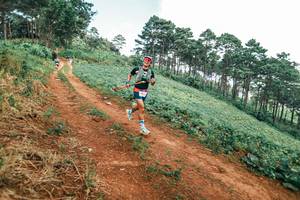 BIB: 
                            <button type="button" onclick="openModal(25490510)" class="btn btn-primary btn-sm float-right btn-popup" data-toggle="modal" data-target=".modal-high-quality">
                        <i class="fas fa-shopping-cart"></i> Add to Cart
                    </button>
                                            <button type="button" onclick="isThisMe(25490510, true)" class="btn btn-success btn-sm float-right btn-popup btn-isme hidden" data-toggle="tooltip" data-placement="bottom" title="นี่คือรูปของคุณใช่ไหม คลิกที่นี่เพื่อเอาเข้าอัลบั้ม">
                        <i class="fas fa-plus"></i> Add to album
                    </button>
                    <button type="button" onclick="isThisMe(25490510, false)" class="btn btn-warning btn-sm float-right btn-popup btn-isnotme hidden">
                        <i class="fas fa-ban"></i> Remove from album
                    </button>