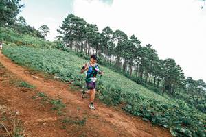 BIB: 
                            <button type="button" onclick="openModal(25490548)" class="btn btn-primary btn-sm float-right btn-popup" data-toggle="modal" data-target=".modal-high-quality">
                        <i class="fas fa-shopping-cart"></i> Add to Cart
                    </button>
                                            <button type="button" onclick="isThisMe(25490548, true)" class="btn btn-success btn-sm float-right btn-popup btn-isme hidden" data-toggle="tooltip" data-placement="bottom" title="นี่คือรูปของคุณใช่ไหม คลิกที่นี่เพื่อเอาเข้าอัลบั้ม">
                        <i class="fas fa-plus"></i> Add to album
                    </button>
                    <button type="button" onclick="isThisMe(25490548, false)" class="btn btn-warning btn-sm float-right btn-popup btn-isnotme hidden">
                        <i class="fas fa-ban"></i> Remove from album
                    </button>