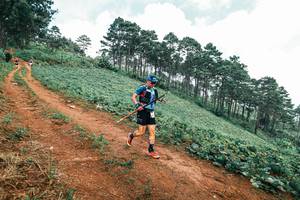 BIB: 
                            <button type="button" onclick="openModal(25483076)" class="btn btn-primary btn-sm float-right btn-popup" data-toggle="modal" data-target=".modal-high-quality">
                        <i class="fas fa-shopping-cart"></i> Add to Cart
                    </button>
                                            <button type="button" onclick="isThisMe(25483076, true)" class="btn btn-success btn-sm float-right btn-popup btn-isme hidden" data-toggle="tooltip" data-placement="bottom" title="นี่คือรูปของคุณใช่ไหม คลิกที่นี่เพื่อเอาเข้าอัลบั้ม">
                        <i class="fas fa-plus"></i> Add to album
                    </button>
                    <button type="button" onclick="isThisMe(25483076, false)" class="btn btn-warning btn-sm float-right btn-popup btn-isnotme hidden">
                        <i class="fas fa-ban"></i> Remove from album
                    </button>