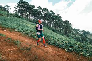 BIB: 
                            <button type="button" onclick="openModal(25490944)" class="btn btn-primary btn-sm float-right btn-popup" data-toggle="modal" data-target=".modal-high-quality">
                        <i class="fas fa-shopping-cart"></i> Add to Cart
                    </button>
                                            <button type="button" onclick="isThisMe(25490944, true)" class="btn btn-success btn-sm float-right btn-popup btn-isme hidden" data-toggle="tooltip" data-placement="bottom" title="นี่คือรูปของคุณใช่ไหม คลิกที่นี่เพื่อเอาเข้าอัลบั้ม">
                        <i class="fas fa-plus"></i> Add to album
                    </button>
                    <button type="button" onclick="isThisMe(25490944, false)" class="btn btn-warning btn-sm float-right btn-popup btn-isnotme hidden">
                        <i class="fas fa-ban"></i> Remove from album
                    </button>