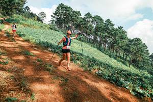 BIB: 
                            <button type="button" onclick="openModal(25492406)" class="btn btn-primary btn-sm float-right btn-popup" data-toggle="modal" data-target=".modal-high-quality">
                        <i class="fas fa-shopping-cart"></i> Add to Cart
                    </button>
                                            <button type="button" onclick="isThisMe(25492406, true)" class="btn btn-success btn-sm float-right btn-popup btn-isme hidden" data-toggle="tooltip" data-placement="bottom" title="นี่คือรูปของคุณใช่ไหม คลิกที่นี่เพื่อเอาเข้าอัลบั้ม">
                        <i class="fas fa-plus"></i> Add to album
                    </button>
                    <button type="button" onclick="isThisMe(25492406, false)" class="btn btn-warning btn-sm float-right btn-popup btn-isnotme hidden">
                        <i class="fas fa-ban"></i> Remove from album
                    </button>