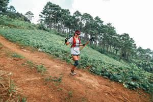 BIB: 
                            <button type="button" onclick="openModal(25489766)" class="btn btn-primary btn-sm float-right btn-popup" data-toggle="modal" data-target=".modal-high-quality">
                        <i class="fas fa-shopping-cart"></i> Add to Cart
                    </button>
                                            <button type="button" onclick="isThisMe(25489766, true)" class="btn btn-success btn-sm float-right btn-popup btn-isme hidden" data-toggle="tooltip" data-placement="bottom" title="นี่คือรูปของคุณใช่ไหม คลิกที่นี่เพื่อเอาเข้าอัลบั้ม">
                        <i class="fas fa-plus"></i> Add to album
                    </button>
                    <button type="button" onclick="isThisMe(25489766, false)" class="btn btn-warning btn-sm float-right btn-popup btn-isnotme hidden">
                        <i class="fas fa-ban"></i> Remove from album
                    </button>