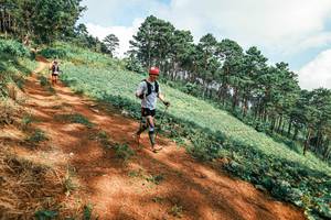 BIB: 
                            <button type="button" onclick="openModal(25492301)" class="btn btn-primary btn-sm float-right btn-popup" data-toggle="modal" data-target=".modal-high-quality">
                        <i class="fas fa-shopping-cart"></i> Add to Cart
                    </button>
                                            <button type="button" onclick="isThisMe(25492301, true)" class="btn btn-success btn-sm float-right btn-popup btn-isme hidden" data-toggle="tooltip" data-placement="bottom" title="นี่คือรูปของคุณใช่ไหม คลิกที่นี่เพื่อเอาเข้าอัลบั้ม">
                        <i class="fas fa-plus"></i> Add to album
                    </button>
                    <button type="button" onclick="isThisMe(25492301, false)" class="btn btn-warning btn-sm float-right btn-popup btn-isnotme hidden">
                        <i class="fas fa-ban"></i> Remove from album
                    </button>