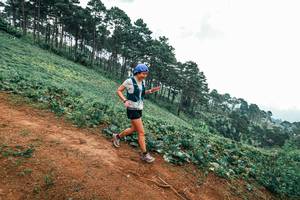 BIB: 
                            <button type="button" onclick="openModal(25483193)" class="btn btn-primary btn-sm float-right btn-popup" data-toggle="modal" data-target=".modal-high-quality">
                        <i class="fas fa-shopping-cart"></i> Add to Cart
                    </button>
                                            <button type="button" onclick="isThisMe(25483193, true)" class="btn btn-success btn-sm float-right btn-popup btn-isme hidden" data-toggle="tooltip" data-placement="bottom" title="นี่คือรูปของคุณใช่ไหม คลิกที่นี่เพื่อเอาเข้าอัลบั้ม">
                        <i class="fas fa-plus"></i> Add to album
                    </button>
                    <button type="button" onclick="isThisMe(25483193, false)" class="btn btn-warning btn-sm float-right btn-popup btn-isnotme hidden">
                        <i class="fas fa-ban"></i> Remove from album
                    </button>