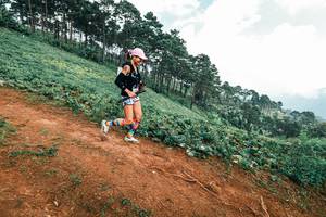 BIB: 
                            <button type="button" onclick="openModal(25491181)" class="btn btn-primary btn-sm float-right btn-popup" data-toggle="modal" data-target=".modal-high-quality">
                        <i class="fas fa-shopping-cart"></i> Add to Cart
                    </button>
                                            <button type="button" onclick="isThisMe(25491181, true)" class="btn btn-success btn-sm float-right btn-popup btn-isme hidden" data-toggle="tooltip" data-placement="bottom" title="นี่คือรูปของคุณใช่ไหม คลิกที่นี่เพื่อเอาเข้าอัลบั้ม">
                        <i class="fas fa-plus"></i> Add to album
                    </button>
                    <button type="button" onclick="isThisMe(25491181, false)" class="btn btn-warning btn-sm float-right btn-popup btn-isnotme hidden">
                        <i class="fas fa-ban"></i> Remove from album
                    </button>