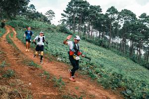 BIB: 
                            <button type="button" onclick="openModal(25483664)" class="btn btn-primary btn-sm float-right btn-popup" data-toggle="modal" data-target=".modal-high-quality">
                        <i class="fas fa-shopping-cart"></i> Add to Cart
                    </button>
                                            <button type="button" onclick="isThisMe(25483664, true)" class="btn btn-success btn-sm float-right btn-popup btn-isme hidden" data-toggle="tooltip" data-placement="bottom" title="นี่คือรูปของคุณใช่ไหม คลิกที่นี่เพื่อเอาเข้าอัลบั้ม">
                        <i class="fas fa-plus"></i> Add to album
                    </button>
                    <button type="button" onclick="isThisMe(25483664, false)" class="btn btn-warning btn-sm float-right btn-popup btn-isnotme hidden">
                        <i class="fas fa-ban"></i> Remove from album
                    </button>