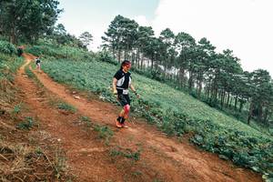 BIB: 
                            <button type="button" onclick="openModal(25490666)" class="btn btn-primary btn-sm float-right btn-popup" data-toggle="modal" data-target=".modal-high-quality">
                        <i class="fas fa-shopping-cart"></i> Add to Cart
                    </button>
                                            <button type="button" onclick="isThisMe(25490666, true)" class="btn btn-success btn-sm float-right btn-popup btn-isme hidden" data-toggle="tooltip" data-placement="bottom" title="นี่คือรูปของคุณใช่ไหม คลิกที่นี่เพื่อเอาเข้าอัลบั้ม">
                        <i class="fas fa-plus"></i> Add to album
                    </button>
                    <button type="button" onclick="isThisMe(25490666, false)" class="btn btn-warning btn-sm float-right btn-popup btn-isnotme hidden">
                        <i class="fas fa-ban"></i> Remove from album
                    </button>