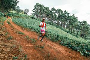 BIB: 
                            <button type="button" onclick="openModal(25490048)" class="btn btn-primary btn-sm float-right btn-popup" data-toggle="modal" data-target=".modal-high-quality">
                        <i class="fas fa-shopping-cart"></i> Add to Cart
                    </button>
                                            <button type="button" onclick="isThisMe(25490048, true)" class="btn btn-success btn-sm float-right btn-popup btn-isme hidden" data-toggle="tooltip" data-placement="bottom" title="นี่คือรูปของคุณใช่ไหม คลิกที่นี่เพื่อเอาเข้าอัลบั้ม">
                        <i class="fas fa-plus"></i> Add to album
                    </button>
                    <button type="button" onclick="isThisMe(25490048, false)" class="btn btn-warning btn-sm float-right btn-popup btn-isnotme hidden">
                        <i class="fas fa-ban"></i> Remove from album
                    </button>