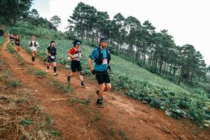 BIB: 
                            <button type="button" onclick="openModal(25488375)" class="btn btn-primary btn-sm float-right btn-popup" data-toggle="modal" data-target=".modal-high-quality">
                        <i class="fas fa-shopping-cart"></i> Add to Cart
                    </button>
                                            <button type="button" onclick="isThisMe(25488375, true)" class="btn btn-success btn-sm float-right btn-popup btn-isme hidden" data-toggle="tooltip" data-placement="bottom" title="นี่คือรูปของคุณใช่ไหม คลิกที่นี่เพื่อเอาเข้าอัลบั้ม">
                        <i class="fas fa-plus"></i> Add to album
                    </button>
                    <button type="button" onclick="isThisMe(25488375, false)" class="btn btn-warning btn-sm float-right btn-popup btn-isnotme hidden">
                        <i class="fas fa-ban"></i> Remove from album
                    </button>