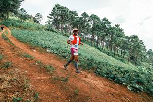 BIB: 
                            <button type="button" onclick="openModal(25490064)" class="btn btn-primary btn-sm float-right btn-popup" data-toggle="modal" data-target=".modal-high-quality">
                        <i class="fas fa-shopping-cart"></i> Add to Cart
                    </button>
                                            <button type="button" onclick="isThisMe(25490064, true)" class="btn btn-success btn-sm float-right btn-popup btn-isme hidden" data-toggle="tooltip" data-placement="bottom" title="นี่คือรูปของคุณใช่ไหม คลิกที่นี่เพื่อเอาเข้าอัลบั้ม">
                        <i class="fas fa-plus"></i> Add to album
                    </button>
                    <button type="button" onclick="isThisMe(25490064, false)" class="btn btn-warning btn-sm float-right btn-popup btn-isnotme hidden">
                        <i class="fas fa-ban"></i> Remove from album
                    </button>