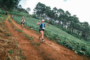 BIB: 
                            <button type="button" onclick="openModal(25488642)" class="btn btn-primary btn-sm float-right btn-popup" data-toggle="modal" data-target=".modal-high-quality">
                        <i class="fas fa-shopping-cart"></i> Add to Cart
                    </button>
                                            <button type="button" onclick="isThisMe(25488642, true)" class="btn btn-success btn-sm float-right btn-popup btn-isme hidden" data-toggle="tooltip" data-placement="bottom" title="นี่คือรูปของคุณใช่ไหม คลิกที่นี่เพื่อเอาเข้าอัลบั้ม">
                        <i class="fas fa-plus"></i> Add to album
                    </button>
                    <button type="button" onclick="isThisMe(25488642, false)" class="btn btn-warning btn-sm float-right btn-popup btn-isnotme hidden">
                        <i class="fas fa-ban"></i> Remove from album
                    </button>