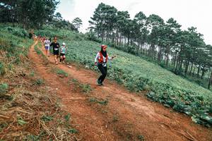 BIB: 
                            <button type="button" onclick="openModal(25487988)" class="btn btn-primary btn-sm float-right btn-popup" data-toggle="modal" data-target=".modal-high-quality">
                        <i class="fas fa-shopping-cart"></i> Add to Cart
                    </button>
                                            <button type="button" onclick="isThisMe(25487988, true)" class="btn btn-success btn-sm float-right btn-popup btn-isme hidden" data-toggle="tooltip" data-placement="bottom" title="นี่คือรูปของคุณใช่ไหม คลิกที่นี่เพื่อเอาเข้าอัลบั้ม">
                        <i class="fas fa-plus"></i> Add to album
                    </button>
                    <button type="button" onclick="isThisMe(25487988, false)" class="btn btn-warning btn-sm float-right btn-popup btn-isnotme hidden">
                        <i class="fas fa-ban"></i> Remove from album
                    </button>