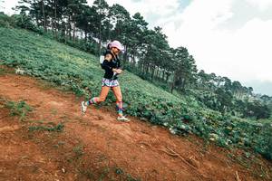 BIB: 
                            <button type="button" onclick="openModal(25491178)" class="btn btn-primary btn-sm float-right btn-popup" data-toggle="modal" data-target=".modal-high-quality">
                        <i class="fas fa-shopping-cart"></i> Add to Cart
                    </button>
                                            <button type="button" onclick="isThisMe(25491178, true)" class="btn btn-success btn-sm float-right btn-popup btn-isme hidden" data-toggle="tooltip" data-placement="bottom" title="นี่คือรูปของคุณใช่ไหม คลิกที่นี่เพื่อเอาเข้าอัลบั้ม">
                        <i class="fas fa-plus"></i> Add to album
                    </button>
                    <button type="button" onclick="isThisMe(25491178, false)" class="btn btn-warning btn-sm float-right btn-popup btn-isnotme hidden">
                        <i class="fas fa-ban"></i> Remove from album
                    </button>