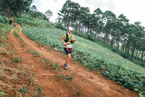 BIB: 
                            <button type="button" onclick="openModal(25486682)" class="btn btn-primary btn-sm float-right btn-popup" data-toggle="modal" data-target=".modal-high-quality">
                        <i class="fas fa-shopping-cart"></i> Add to Cart
                    </button>
                                            <button type="button" onclick="isThisMe(25486682, true)" class="btn btn-success btn-sm float-right btn-popup btn-isme hidden" data-toggle="tooltip" data-placement="bottom" title="นี่คือรูปของคุณใช่ไหม คลิกที่นี่เพื่อเอาเข้าอัลบั้ม">
                        <i class="fas fa-plus"></i> Add to album
                    </button>
                    <button type="button" onclick="isThisMe(25486682, false)" class="btn btn-warning btn-sm float-right btn-popup btn-isnotme hidden">
                        <i class="fas fa-ban"></i> Remove from album
                    </button>