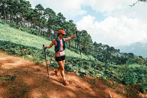 BIB: 
                            <button type="button" onclick="openModal(25492451)" class="btn btn-primary btn-sm float-right btn-popup" data-toggle="modal" data-target=".modal-high-quality">
                        <i class="fas fa-shopping-cart"></i> Add to Cart
                    </button>
                                            <button type="button" onclick="isThisMe(25492451, true)" class="btn btn-success btn-sm float-right btn-popup btn-isme hidden" data-toggle="tooltip" data-placement="bottom" title="นี่คือรูปของคุณใช่ไหม คลิกที่นี่เพื่อเอาเข้าอัลบั้ม">
                        <i class="fas fa-plus"></i> Add to album
                    </button>
                    <button type="button" onclick="isThisMe(25492451, false)" class="btn btn-warning btn-sm float-right btn-popup btn-isnotme hidden">
                        <i class="fas fa-ban"></i> Remove from album
                    </button>