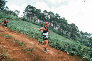 BIB: 
                            <button type="button" onclick="openModal(25483119)" class="btn btn-primary btn-sm float-right btn-popup" data-toggle="modal" data-target=".modal-high-quality">
                        <i class="fas fa-shopping-cart"></i> Add to Cart
                    </button>
                                            <button type="button" onclick="isThisMe(25483119, true)" class="btn btn-success btn-sm float-right btn-popup btn-isme hidden" data-toggle="tooltip" data-placement="bottom" title="นี่คือรูปของคุณใช่ไหม คลิกที่นี่เพื่อเอาเข้าอัลบั้ม">
                        <i class="fas fa-plus"></i> Add to album
                    </button>
                    <button type="button" onclick="isThisMe(25483119, false)" class="btn btn-warning btn-sm float-right btn-popup btn-isnotme hidden">
                        <i class="fas fa-ban"></i> Remove from album
                    </button>