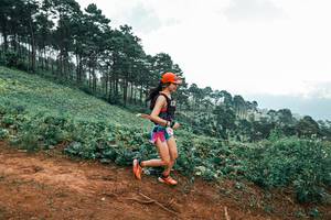 BIB: 
                            <button type="button" onclick="openModal(25482566)" class="btn btn-primary btn-sm float-right btn-popup" data-toggle="modal" data-target=".modal-high-quality">
                        <i class="fas fa-shopping-cart"></i> Add to Cart
                    </button>
                                            <button type="button" onclick="isThisMe(25482566, true)" class="btn btn-success btn-sm float-right btn-popup btn-isme hidden" data-toggle="tooltip" data-placement="bottom" title="นี่คือรูปของคุณใช่ไหม คลิกที่นี่เพื่อเอาเข้าอัลบั้ม">
                        <i class="fas fa-plus"></i> Add to album
                    </button>
                    <button type="button" onclick="isThisMe(25482566, false)" class="btn btn-warning btn-sm float-right btn-popup btn-isnotme hidden">
                        <i class="fas fa-ban"></i> Remove from album
                    </button>