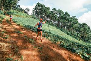 BIB: 
                            <button type="button" onclick="openModal(25492393)" class="btn btn-primary btn-sm float-right btn-popup" data-toggle="modal" data-target=".modal-high-quality">
                        <i class="fas fa-shopping-cart"></i> Add to Cart
                    </button>
                                            <button type="button" onclick="isThisMe(25492393, true)" class="btn btn-success btn-sm float-right btn-popup btn-isme hidden" data-toggle="tooltip" data-placement="bottom" title="นี่คือรูปของคุณใช่ไหม คลิกที่นี่เพื่อเอาเข้าอัลบั้ม">
                        <i class="fas fa-plus"></i> Add to album
                    </button>
                    <button type="button" onclick="isThisMe(25492393, false)" class="btn btn-warning btn-sm float-right btn-popup btn-isnotme hidden">
                        <i class="fas fa-ban"></i> Remove from album
                    </button>