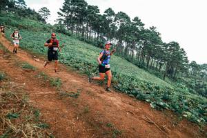 BIB: 
                            <button type="button" onclick="openModal(25487576)" class="btn btn-primary btn-sm float-right btn-popup" data-toggle="modal" data-target=".modal-high-quality">
                        <i class="fas fa-shopping-cart"></i> Add to Cart
                    </button>
                                            <button type="button" onclick="isThisMe(25487576, true)" class="btn btn-success btn-sm float-right btn-popup btn-isme hidden" data-toggle="tooltip" data-placement="bottom" title="นี่คือรูปของคุณใช่ไหม คลิกที่นี่เพื่อเอาเข้าอัลบั้ม">
                        <i class="fas fa-plus"></i> Add to album
                    </button>
                    <button type="button" onclick="isThisMe(25487576, false)" class="btn btn-warning btn-sm float-right btn-popup btn-isnotme hidden">
                        <i class="fas fa-ban"></i> Remove from album
                    </button>