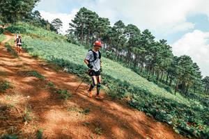 BIB: 
                            <button type="button" onclick="openModal(25492325)" class="btn btn-primary btn-sm float-right btn-popup" data-toggle="modal" data-target=".modal-high-quality">
                        <i class="fas fa-shopping-cart"></i> Add to Cart
                    </button>
                                            <button type="button" onclick="isThisMe(25492325, true)" class="btn btn-success btn-sm float-right btn-popup btn-isme hidden" data-toggle="tooltip" data-placement="bottom" title="นี่คือรูปของคุณใช่ไหม คลิกที่นี่เพื่อเอาเข้าอัลบั้ม">
                        <i class="fas fa-plus"></i> Add to album
                    </button>
                    <button type="button" onclick="isThisMe(25492325, false)" class="btn btn-warning btn-sm float-right btn-popup btn-isnotme hidden">
                        <i class="fas fa-ban"></i> Remove from album
                    </button>