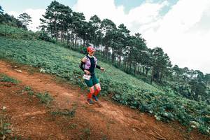 BIB: 
                            <button type="button" onclick="openModal(25490939)" class="btn btn-primary btn-sm float-right btn-popup" data-toggle="modal" data-target=".modal-high-quality">
                        <i class="fas fa-shopping-cart"></i> Add to Cart
                    </button>
                                            <button type="button" onclick="isThisMe(25490939, true)" class="btn btn-success btn-sm float-right btn-popup btn-isme hidden" data-toggle="tooltip" data-placement="bottom" title="นี่คือรูปของคุณใช่ไหม คลิกที่นี่เพื่อเอาเข้าอัลบั้ม">
                        <i class="fas fa-plus"></i> Add to album
                    </button>
                    <button type="button" onclick="isThisMe(25490939, false)" class="btn btn-warning btn-sm float-right btn-popup btn-isnotme hidden">
                        <i class="fas fa-ban"></i> Remove from album
                    </button>