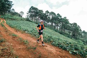 BIB: 
                            <button type="button" onclick="openModal(25483135)" class="btn btn-primary btn-sm float-right btn-popup" data-toggle="modal" data-target=".modal-high-quality">
                        <i class="fas fa-shopping-cart"></i> Add to Cart
                    </button>
                                            <button type="button" onclick="isThisMe(25483135, true)" class="btn btn-success btn-sm float-right btn-popup btn-isme hidden" data-toggle="tooltip" data-placement="bottom" title="นี่คือรูปของคุณใช่ไหม คลิกที่นี่เพื่อเอาเข้าอัลบั้ม">
                        <i class="fas fa-plus"></i> Add to album
                    </button>
                    <button type="button" onclick="isThisMe(25483135, false)" class="btn btn-warning btn-sm float-right btn-popup btn-isnotme hidden">
                        <i class="fas fa-ban"></i> Remove from album
                    </button>