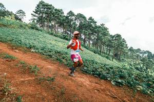 BIB: 
                            <button type="button" onclick="openModal(25490097)" class="btn btn-primary btn-sm float-right btn-popup" data-toggle="modal" data-target=".modal-high-quality">
                        <i class="fas fa-shopping-cart"></i> Add to Cart
                    </button>
                                            <button type="button" onclick="isThisMe(25490097, true)" class="btn btn-success btn-sm float-right btn-popup btn-isme hidden" data-toggle="tooltip" data-placement="bottom" title="นี่คือรูปของคุณใช่ไหม คลิกที่นี่เพื่อเอาเข้าอัลบั้ม">
                        <i class="fas fa-plus"></i> Add to album
                    </button>
                    <button type="button" onclick="isThisMe(25490097, false)" class="btn btn-warning btn-sm float-right btn-popup btn-isnotme hidden">
                        <i class="fas fa-ban"></i> Remove from album
                    </button>