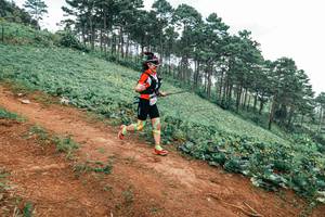 BIB: 
                            <button type="button" onclick="openModal(25485143)" class="btn btn-primary btn-sm float-right btn-popup" data-toggle="modal" data-target=".modal-high-quality">
                        <i class="fas fa-shopping-cart"></i> Add to Cart
                    </button>
                                            <button type="button" onclick="isThisMe(25485143, true)" class="btn btn-success btn-sm float-right btn-popup btn-isme hidden" data-toggle="tooltip" data-placement="bottom" title="นี่คือรูปของคุณใช่ไหม คลิกที่นี่เพื่อเอาเข้าอัลบั้ม">
                        <i class="fas fa-plus"></i> Add to album
                    </button>
                    <button type="button" onclick="isThisMe(25485143, false)" class="btn btn-warning btn-sm float-right btn-popup btn-isnotme hidden">
                        <i class="fas fa-ban"></i> Remove from album
                    </button>