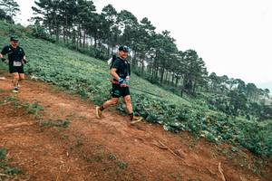 BIB: 
                            <button type="button" onclick="openModal(25487806)" class="btn btn-primary btn-sm float-right btn-popup" data-toggle="modal" data-target=".modal-high-quality">
                        <i class="fas fa-shopping-cart"></i> Add to Cart
                    </button>
                                            <button type="button" onclick="isThisMe(25487806, true)" class="btn btn-success btn-sm float-right btn-popup btn-isme hidden" data-toggle="tooltip" data-placement="bottom" title="นี่คือรูปของคุณใช่ไหม คลิกที่นี่เพื่อเอาเข้าอัลบั้ม">
                        <i class="fas fa-plus"></i> Add to album
                    </button>
                    <button type="button" onclick="isThisMe(25487806, false)" class="btn btn-warning btn-sm float-right btn-popup btn-isnotme hidden">
                        <i class="fas fa-ban"></i> Remove from album
                    </button>