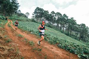 BIB: 
                            <button type="button" onclick="openModal(25483110)" class="btn btn-primary btn-sm float-right btn-popup" data-toggle="modal" data-target=".modal-high-quality">
                        <i class="fas fa-shopping-cart"></i> Add to Cart
                    </button>
                                            <button type="button" onclick="isThisMe(25483110, true)" class="btn btn-success btn-sm float-right btn-popup btn-isme hidden" data-toggle="tooltip" data-placement="bottom" title="นี่คือรูปของคุณใช่ไหม คลิกที่นี่เพื่อเอาเข้าอัลบั้ม">
                        <i class="fas fa-plus"></i> Add to album
                    </button>
                    <button type="button" onclick="isThisMe(25483110, false)" class="btn btn-warning btn-sm float-right btn-popup btn-isnotme hidden">
                        <i class="fas fa-ban"></i> Remove from album
                    </button>