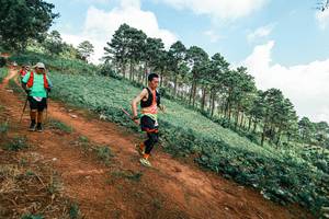 BIB: 
                            <button type="button" onclick="openModal(25508793)" class="btn btn-primary btn-sm float-right btn-popup" data-toggle="modal" data-target=".modal-high-quality">
                        <i class="fas fa-shopping-cart"></i> Add to Cart
                    </button>
                                            <button type="button" onclick="isThisMe(25508793, true)" class="btn btn-success btn-sm float-right btn-popup btn-isme hidden" data-toggle="tooltip" data-placement="bottom" title="นี่คือรูปของคุณใช่ไหม คลิกที่นี่เพื่อเอาเข้าอัลบั้ม">
                        <i class="fas fa-plus"></i> Add to album
                    </button>
                    <button type="button" onclick="isThisMe(25508793, false)" class="btn btn-warning btn-sm float-right btn-popup btn-isnotme hidden">
                        <i class="fas fa-ban"></i> Remove from album
                    </button>