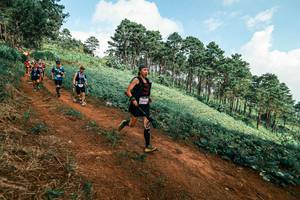 BIB: 
                            <button type="button" onclick="openModal(25508646)" class="btn btn-primary btn-sm float-right btn-popup" data-toggle="modal" data-target=".modal-high-quality">
                        <i class="fas fa-shopping-cart"></i> Add to Cart
                    </button>
                                            <button type="button" onclick="isThisMe(25508646, true)" class="btn btn-success btn-sm float-right btn-popup btn-isme hidden" data-toggle="tooltip" data-placement="bottom" title="นี่คือรูปของคุณใช่ไหม คลิกที่นี่เพื่อเอาเข้าอัลบั้ม">
                        <i class="fas fa-plus"></i> Add to album
                    </button>
                    <button type="button" onclick="isThisMe(25508646, false)" class="btn btn-warning btn-sm float-right btn-popup btn-isnotme hidden">
                        <i class="fas fa-ban"></i> Remove from album
                    </button>