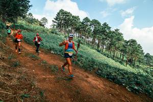 BIB: 
                            <button type="button" onclick="openModal(25508743)" class="btn btn-primary btn-sm float-right btn-popup" data-toggle="modal" data-target=".modal-high-quality">
                        <i class="fas fa-shopping-cart"></i> Add to Cart
                    </button>
                                            <button type="button" onclick="isThisMe(25508743, true)" class="btn btn-success btn-sm float-right btn-popup btn-isme hidden" data-toggle="tooltip" data-placement="bottom" title="นี่คือรูปของคุณใช่ไหม คลิกที่นี่เพื่อเอาเข้าอัลบั้ม">
                        <i class="fas fa-plus"></i> Add to album
                    </button>
                    <button type="button" onclick="isThisMe(25508743, false)" class="btn btn-warning btn-sm float-right btn-popup btn-isnotme hidden">
                        <i class="fas fa-ban"></i> Remove from album
                    </button>