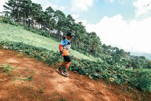 BIB: 
                            <button type="button" onclick="openModal(25509455)" class="btn btn-primary btn-sm float-right btn-popup" data-toggle="modal" data-target=".modal-high-quality">
                        <i class="fas fa-shopping-cart"></i> Add to Cart
                    </button>
                                            <button type="button" onclick="isThisMe(25509455, true)" class="btn btn-success btn-sm float-right btn-popup btn-isme hidden" data-toggle="tooltip" data-placement="bottom" title="นี่คือรูปของคุณใช่ไหม คลิกที่นี่เพื่อเอาเข้าอัลบั้ม">
                        <i class="fas fa-plus"></i> Add to album
                    </button>
                    <button type="button" onclick="isThisMe(25509455, false)" class="btn btn-warning btn-sm float-right btn-popup btn-isnotme hidden">
                        <i class="fas fa-ban"></i> Remove from album
                    </button>