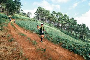 BIB: 
                            <button type="button" onclick="openModal(25508306)" class="btn btn-primary btn-sm float-right btn-popup" data-toggle="modal" data-target=".modal-high-quality">
                        <i class="fas fa-shopping-cart"></i> Add to Cart
                    </button>
                                            <button type="button" onclick="isThisMe(25508306, true)" class="btn btn-success btn-sm float-right btn-popup btn-isme hidden" data-toggle="tooltip" data-placement="bottom" title="นี่คือรูปของคุณใช่ไหม คลิกที่นี่เพื่อเอาเข้าอัลบั้ม">
                        <i class="fas fa-plus"></i> Add to album
                    </button>
                    <button type="button" onclick="isThisMe(25508306, false)" class="btn btn-warning btn-sm float-right btn-popup btn-isnotme hidden">
                        <i class="fas fa-ban"></i> Remove from album
                    </button>