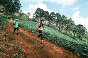 BIB: 
                            <button type="button" onclick="openModal(25508786)" class="btn btn-primary btn-sm float-right btn-popup" data-toggle="modal" data-target=".modal-high-quality">
                        <i class="fas fa-shopping-cart"></i> Add to Cart
                    </button>
                                            <button type="button" onclick="isThisMe(25508786, true)" class="btn btn-success btn-sm float-right btn-popup btn-isme hidden" data-toggle="tooltip" data-placement="bottom" title="นี่คือรูปของคุณใช่ไหม คลิกที่นี่เพื่อเอาเข้าอัลบั้ม">
                        <i class="fas fa-plus"></i> Add to album
                    </button>
                    <button type="button" onclick="isThisMe(25508786, false)" class="btn btn-warning btn-sm float-right btn-popup btn-isnotme hidden">
                        <i class="fas fa-ban"></i> Remove from album
                    </button>