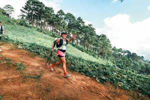 BIB: 
                            <button type="button" onclick="openModal(25513770)" class="btn btn-primary btn-sm float-right btn-popup" data-toggle="modal" data-target=".modal-high-quality">
                        <i class="fas fa-shopping-cart"></i> Add to Cart
                    </button>
                                            <button type="button" onclick="isThisMe(25513770, true)" class="btn btn-success btn-sm float-right btn-popup btn-isme hidden" data-toggle="tooltip" data-placement="bottom" title="นี่คือรูปของคุณใช่ไหม คลิกที่นี่เพื่อเอาเข้าอัลบั้ม">
                        <i class="fas fa-plus"></i> Add to album
                    </button>
                    <button type="button" onclick="isThisMe(25513770, false)" class="btn btn-warning btn-sm float-right btn-popup btn-isnotme hidden">
                        <i class="fas fa-ban"></i> Remove from album
                    </button>