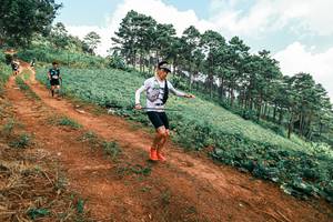 BIB: 
                            <button type="button" onclick="openModal(25505971)" class="btn btn-primary btn-sm float-right btn-popup" data-toggle="modal" data-target=".modal-high-quality">
                        <i class="fas fa-shopping-cart"></i> Add to Cart
                    </button>
                                            <button type="button" onclick="isThisMe(25505971, true)" class="btn btn-success btn-sm float-right btn-popup btn-isme hidden" data-toggle="tooltip" data-placement="bottom" title="นี่คือรูปของคุณใช่ไหม คลิกที่นี่เพื่อเอาเข้าอัลบั้ม">
                        <i class="fas fa-plus"></i> Add to album
                    </button>
                    <button type="button" onclick="isThisMe(25505971, false)" class="btn btn-warning btn-sm float-right btn-popup btn-isnotme hidden">
                        <i class="fas fa-ban"></i> Remove from album
                    </button>