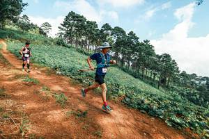 BIB: 
                            <button type="button" onclick="openModal(25508334)" class="btn btn-primary btn-sm float-right btn-popup" data-toggle="modal" data-target=".modal-high-quality">
                        <i class="fas fa-shopping-cart"></i> Add to Cart
                    </button>
                                            <button type="button" onclick="isThisMe(25508334, true)" class="btn btn-success btn-sm float-right btn-popup btn-isme hidden" data-toggle="tooltip" data-placement="bottom" title="นี่คือรูปของคุณใช่ไหม คลิกที่นี่เพื่อเอาเข้าอัลบั้ม">
                        <i class="fas fa-plus"></i> Add to album
                    </button>
                    <button type="button" onclick="isThisMe(25508334, false)" class="btn btn-warning btn-sm float-right btn-popup btn-isnotme hidden">
                        <i class="fas fa-ban"></i> Remove from album
                    </button>